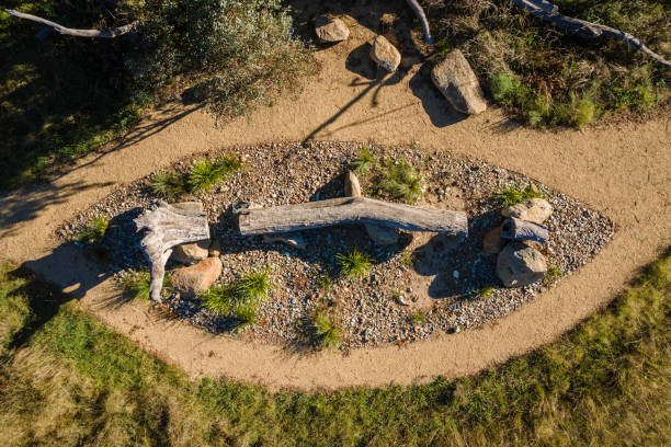 отображается дерево, namadgi nr, act, февраль 2021 - aborigine grass family australia indigenous culture стоковые фото и изображения