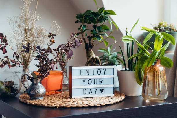 Enjoy your day message on lightbox standing on a table with green home plants. Home gardening corner inside of the house. Calm and cozy area for relaxing. Modern home garden interior style. Enjoy your day message on lightbox standing on a table with green home plants. Home gardening corner inside of the house. Calm and cozy area for relaxing. Modern home garden interior style green home decor stock pictures, royalty-free photos & images