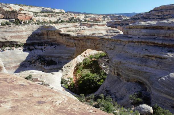 istock Natural Bridges National Monument in Utah 1306912807