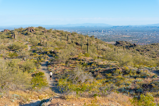 Mountaintop View of Phoenix