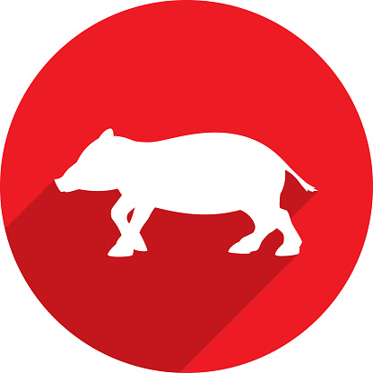 Vector illustration of a red boar icon in flat style.