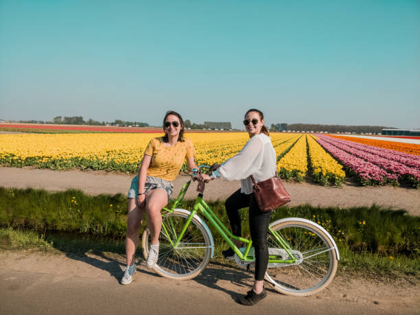 happy girls with their ride bike in front of beautiful dutch tulip field in full harvest season - dutch ethnicity imagens e fotografias de stock