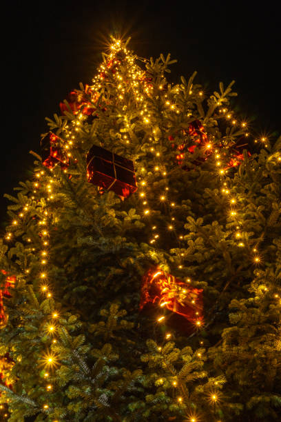 istock shining lights of a Christmas tree at night 1306926314
