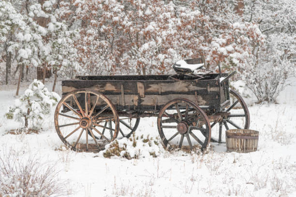 Antique stagecoach travelling down an old western street.