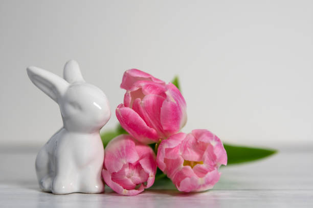 Side view of porcelain Easter bunnies and same pastel colored pink white tulips.On a white background .