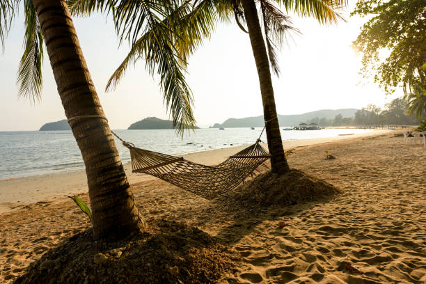 istock Hammock between two coconut trees on a tropical island with beautiful beach 1306937024