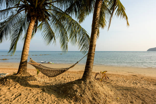 istock Hammock between two coconut trees on a tropical island with beautiful beach 1306937054