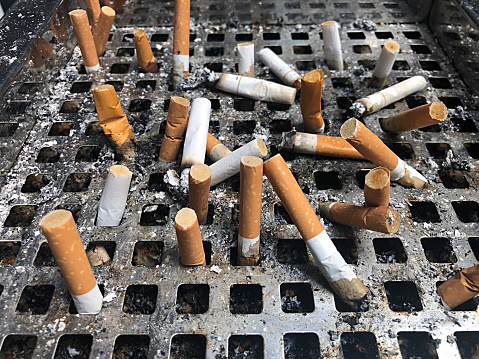 The smoked cigarette butts are placed in a large number of trays.