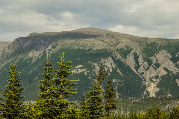 istock Mountains of Alaska 1306948282