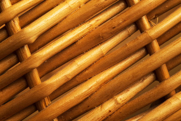Diagonal shot with dark orange willow twigs intertwined closeup