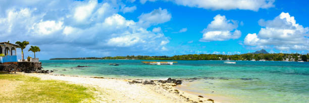 istock paradise beach of mauritius island 1306962873