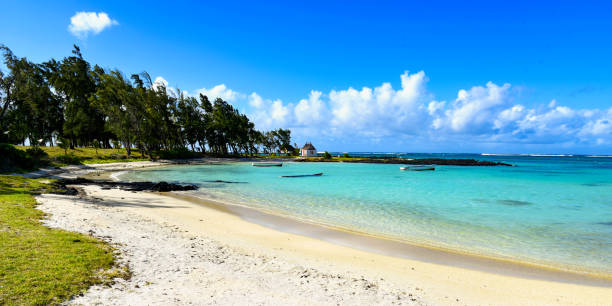 istock paradise beach of mauritius island 1306962945