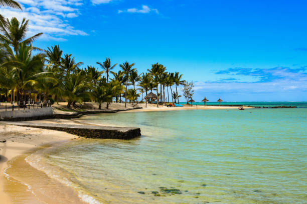 istock heavenly beach on mauritius island 1306962972