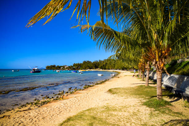istock heavenly landscape in mauritius island 1306963004