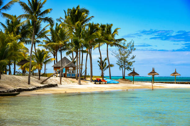 istock heavenly beach on mauritius island 1306963011