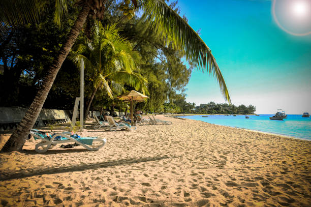 istock heavenly landscape in mauritius island 1306963029