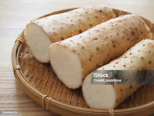 Japanese Yamnagaimo Stock Photo - Download Image Now - Yam, Long, Raw Potato