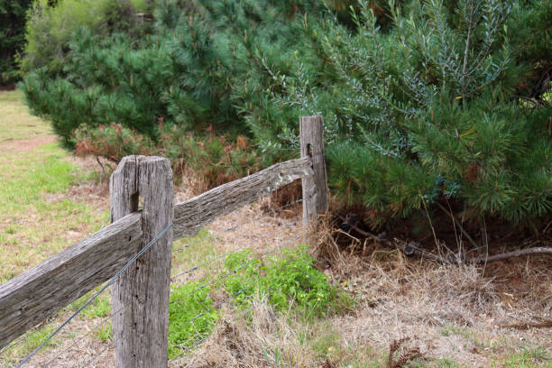 istock old wooden fence in field 1306967007