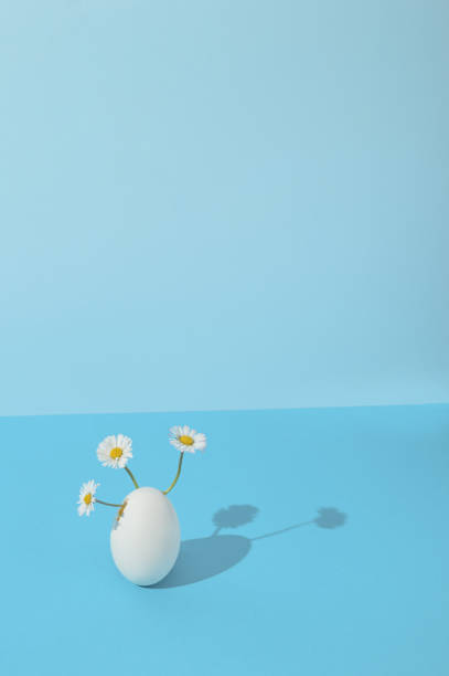 Flowers growing from the white egg concept on a blue background. Easter creative idea.