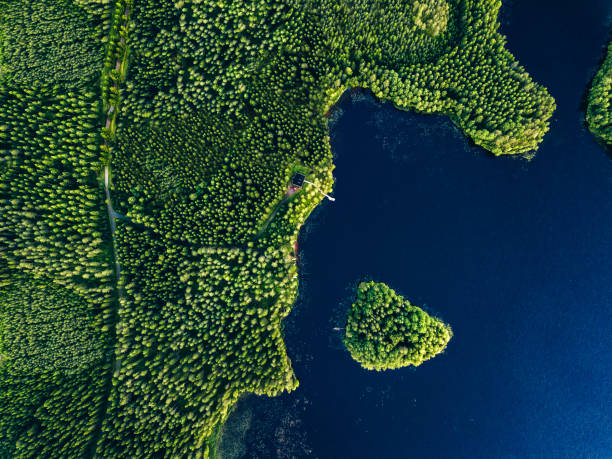 vista aérea de los bosques verdes con lago azul y casa de verano con muelle de madera - pine wood forest river fotografías e imágenes de stock