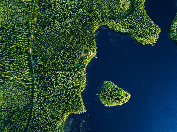 vue aérienne des forêts vertes avec le lac bleu et le chalet d’été avec la jetée en bois - finland sauna lake house photos et images de collection