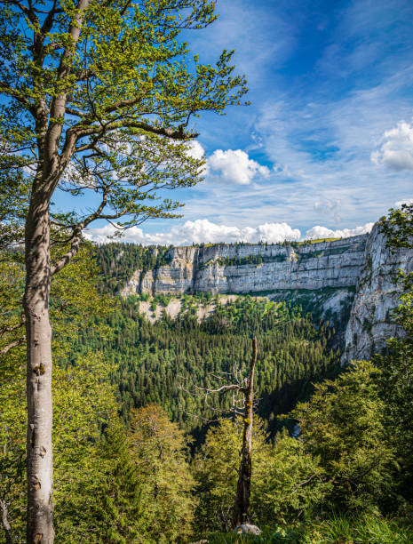 View of the canyon Creux-du-Van in the canton of Neuenburg (Neuchatel), Switzerlan