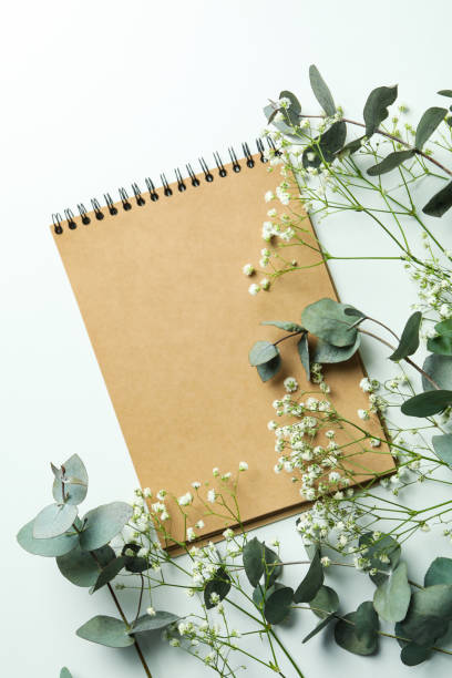 istock Eucalyptus, gypsophila and notebook on white background 1306977960