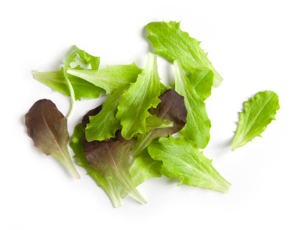 heap of fresh raw lettuce green leaves top view - salad ingredient imagens e fotografias de stock