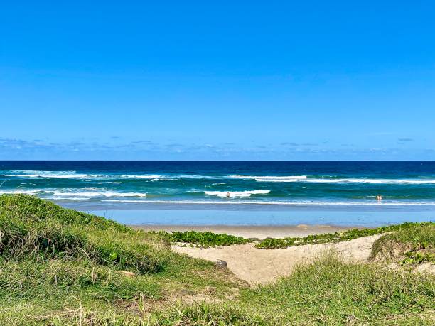 ondas quebrando em ballina beach austrália - surf turf - fotografias e filmes do acervo
