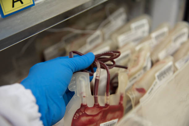 Blood bags in blood bank. Blood bags in blood bank. blood bank stock pictures, royalty-free photos & images