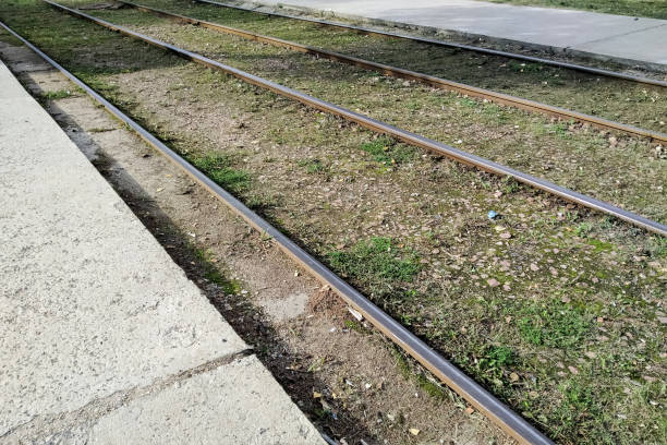 istock Green grass on the tram rails closeup 1306996903