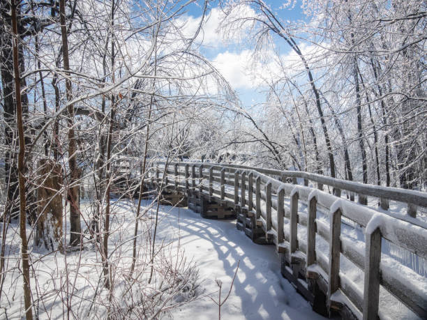istock Beautiful landscape in Ice 1306999251