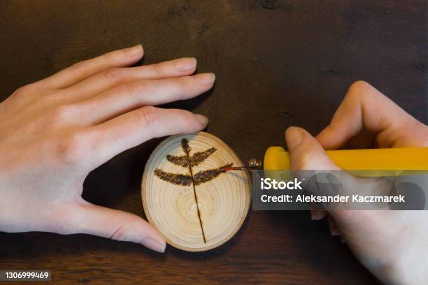 Closeup Of Female Hands Making A Tree Twig Sign On Wooden Disc Stock Photo - Download Image Now