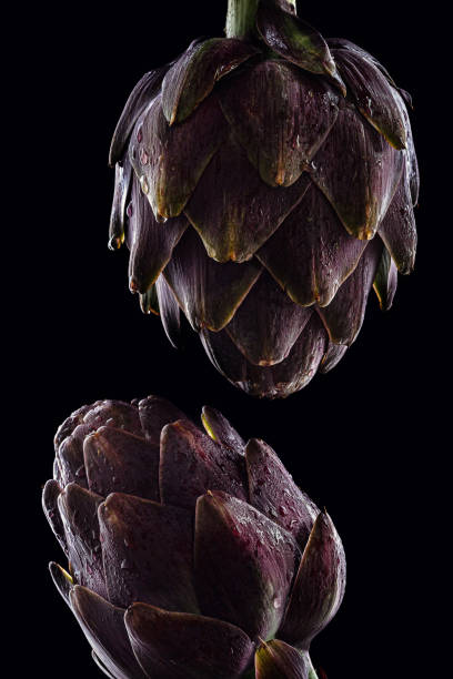 artichauts crus frais sur le fond noir. - purple artichoke photos et images de collection