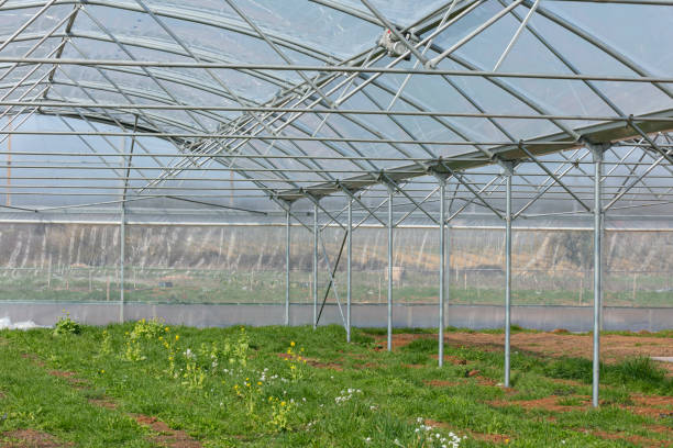 istock New greenhouse in a field 1307002720