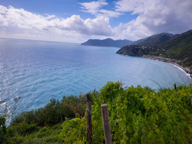 istock Ligurian seascape in winter 1307003945