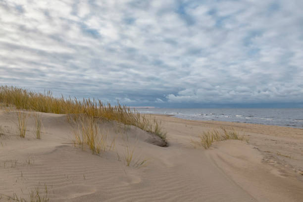 istock Landscape in the dunes 1307005391