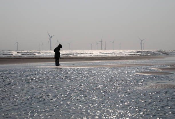 istock silhouette of a girl playing on beach 1307006030