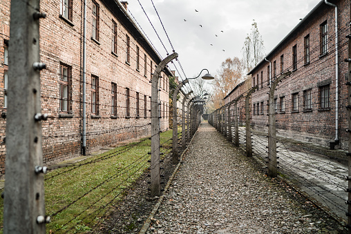 Auschwitz Concentration and Extermination Camp museum Poland - Oct 17 2019 Red brick barracks and electric barb wire fence to detain jewish prisoners.