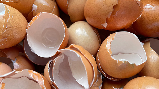 Cracked egg shells, close-up.