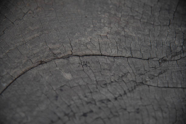 Close up dark texture on wood background.