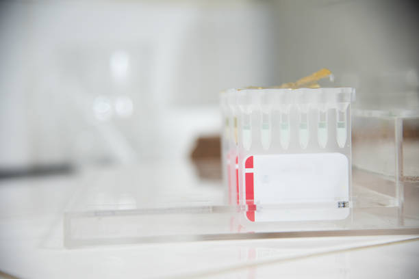 istock Test tube in laboratory testing on blue background. 1307013515