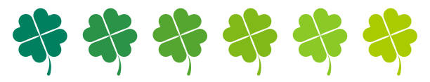 ilustraciones, imágenes clip art, dibujos animados e iconos de stock de verde cuatro hojas sobre fondo blanco. trébol shamrock elemento decorativo plano. - 4leaf