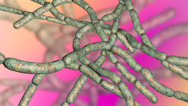 Bacteria Bacillus anthracis Bacteria Bacillus anthracis, the causative agent of anthrax disease, 3D illustration eschar stock pictures, royalty-free photos & images