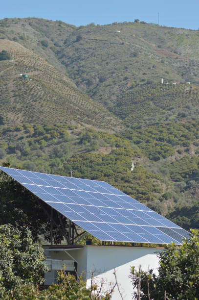 istock Solar panel in a agricultural plantation 1307018927