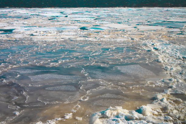 istock Packed ice tundra melts in the sun 1307019789