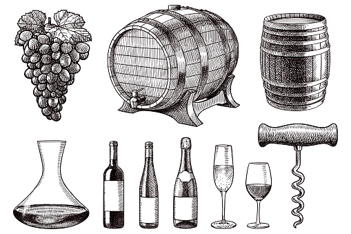 Old style illustration of grapes, barrels, decanter, wine bottles, glasses and corkscrew