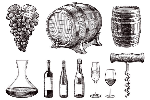 Set of vector drawings of items related to wine Old style illustration of grapes, barrels, decanter, wine bottles, glasses and corkscrew wineglass illustrations stock illustrations
