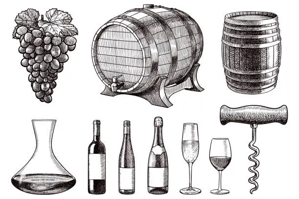 Vector illustration of Set of vector drawings of items related to wine