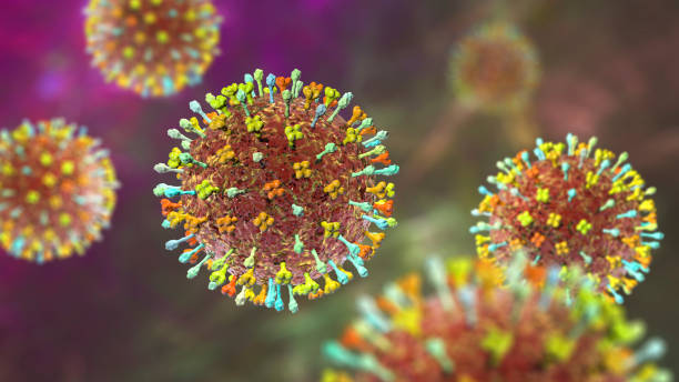 Hendra virus infection stock photo